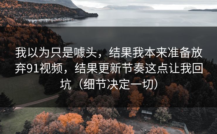 我以为只是噱头,结果我本来准备放弃91视频,结果更新节奏这点让我回坑(细节决定一切)