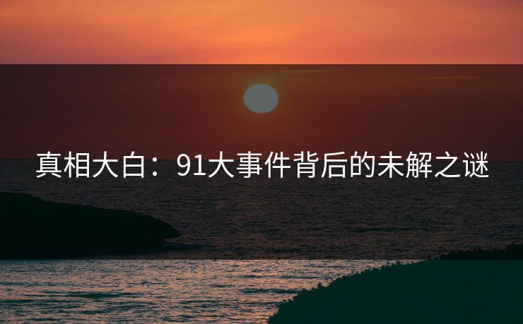 真相大白：91大事件背后的未解之谜
