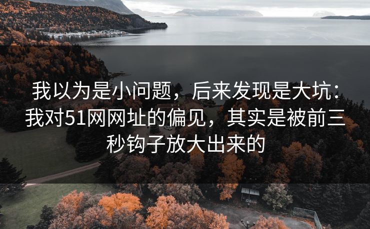 我以为是小问题,后来发现是大坑:我对51网网址的偏见,其实是被前三秒钩子放大出来的