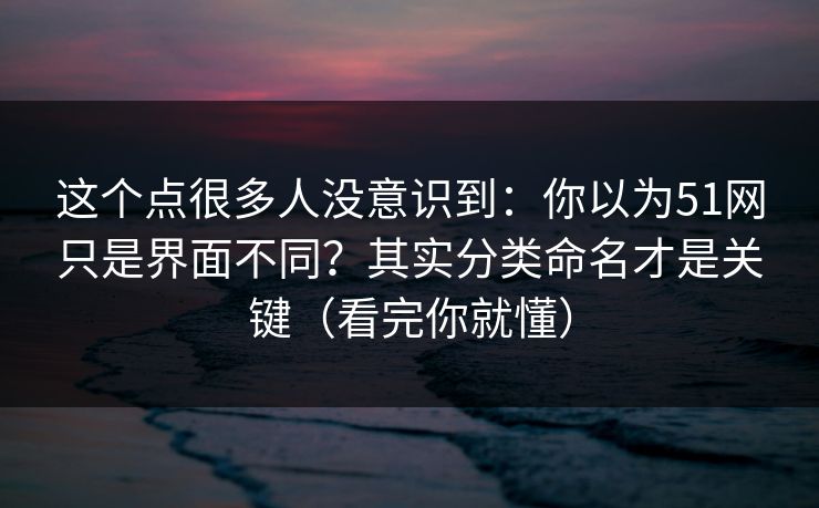 这个点很多人没意识到:你以为51网只是界面不同?其实分类命名才是关键(看完你就懂) 这个点很多人没意识到:你以为51网只是界面不同?其实分类命名才是关键(看完你就懂)
